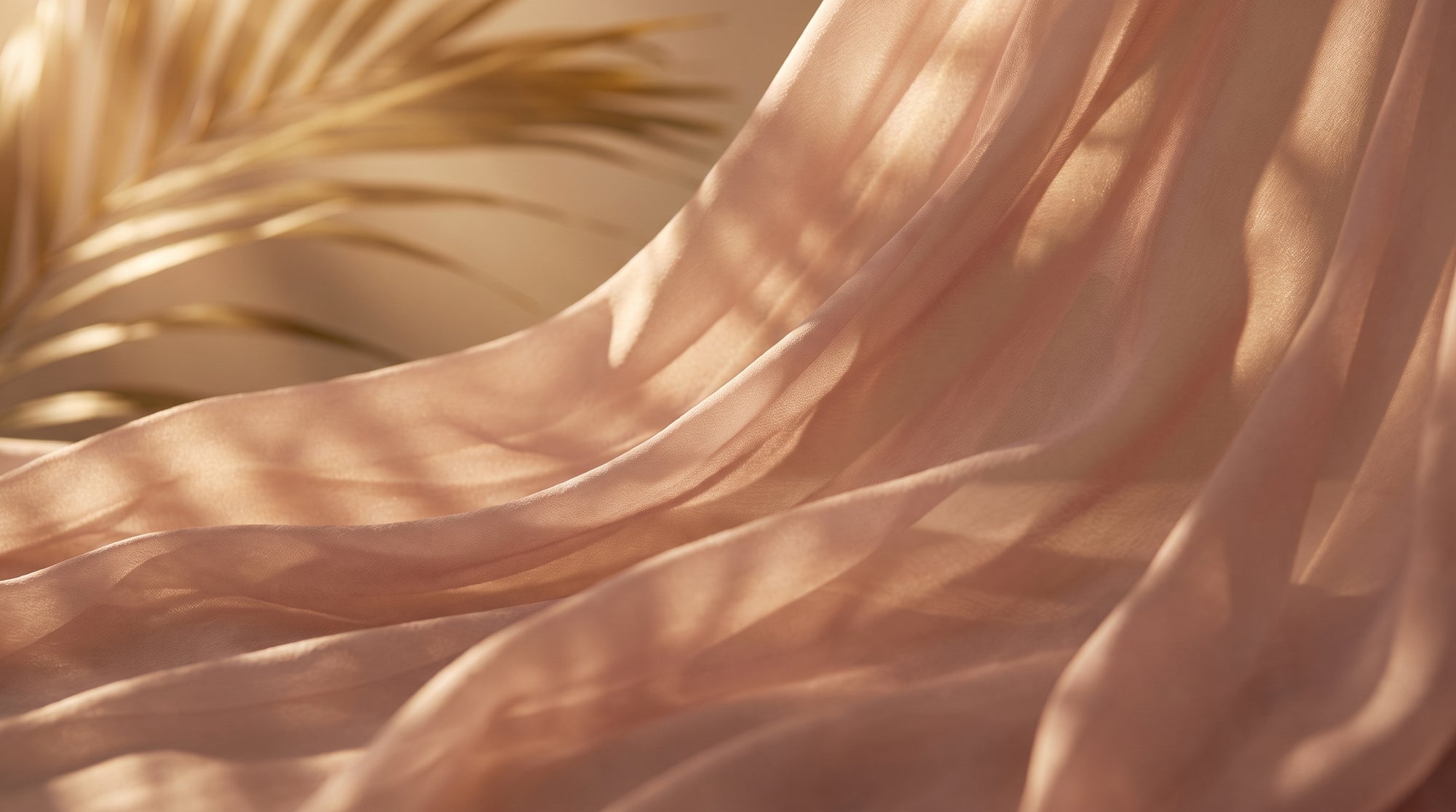 Born from island light
and feminine grace.